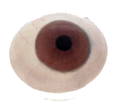 Handbeschilderde zachte contactlens