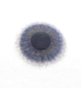 Handbeschilderde contactlens