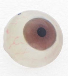Handgeschilderde vormstabiele scleralens