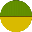 Test afbeelding van de Heidelberg Anomaloscoop Test afbeelding van de Heidelberg Anomaloscoop