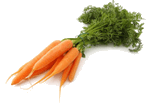Wortel bron van vitamine A