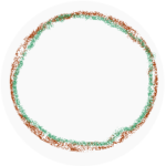 Arcus lipoides bedekking